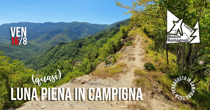 LUNA (quasi) PIENA IN CAMPIGNA