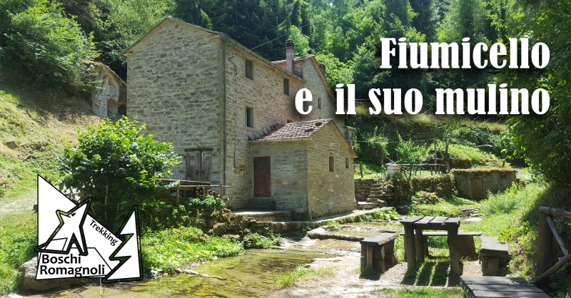 FIUMICELLO E IL SUO MULINO