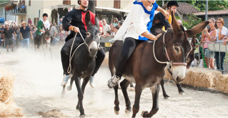Il Palio dei somari