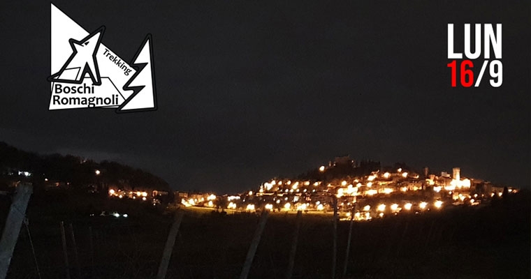 LUNA (quasi) PIENA TRA LE VIGNE DI BERTINORO
