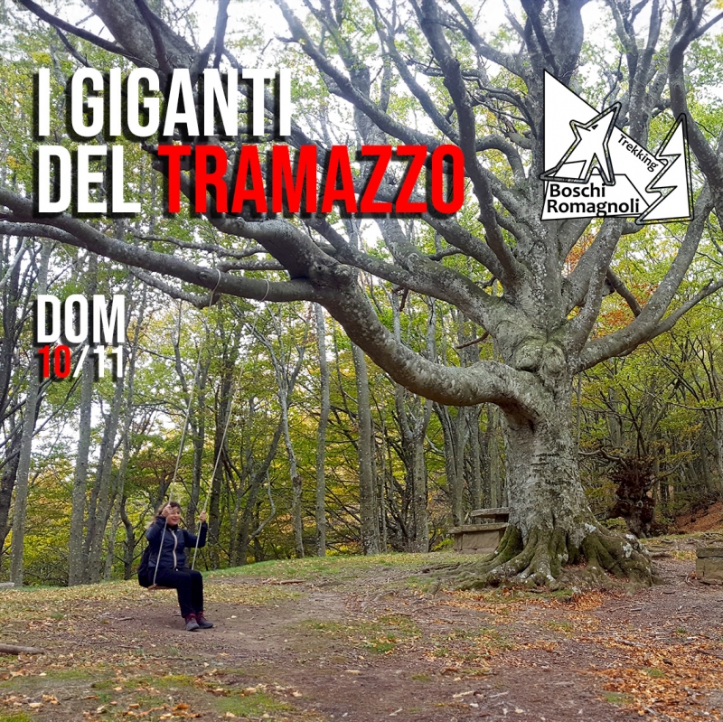 I GIGANTI DEL TRAMAZZO