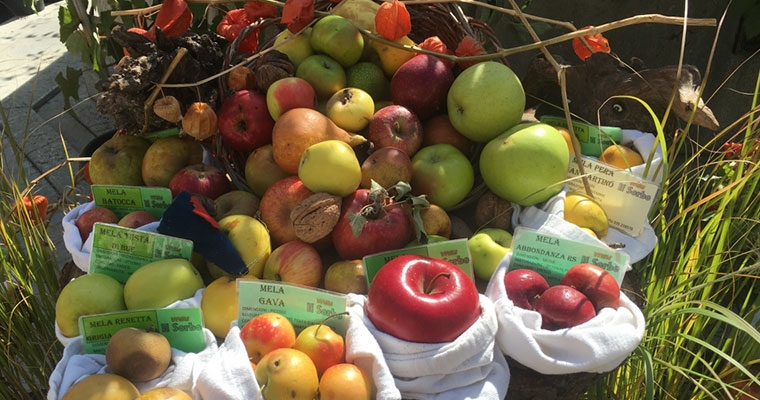 Gli antichi frutti d’Italia s’incontrano a Pennabilli