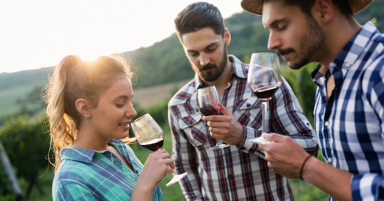 Degustazioni itineranti durante la vendemmia: il Trat-Tour