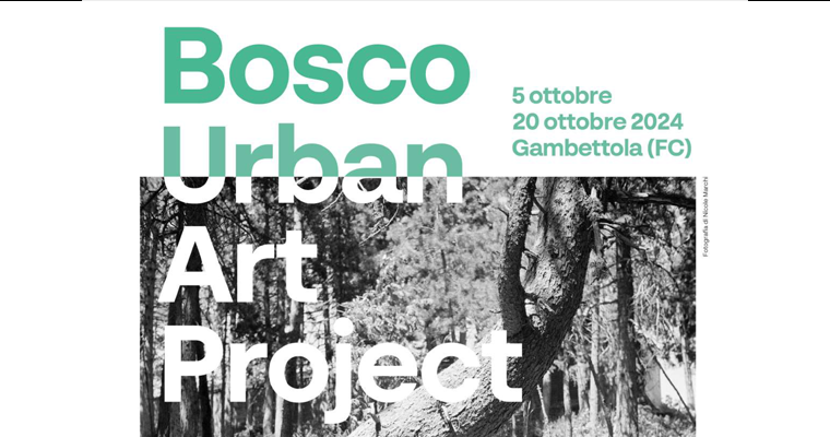 Bosco - Urban art project