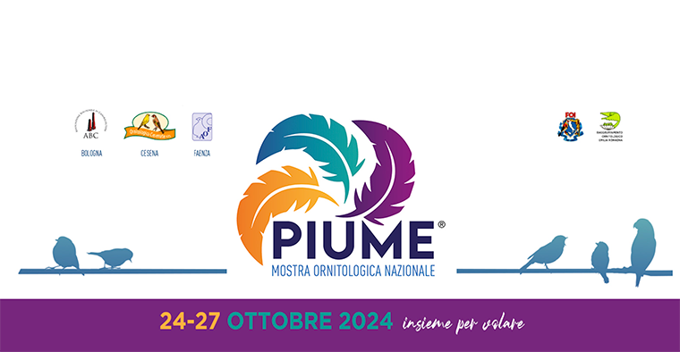 Piume
