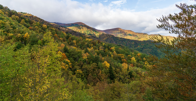 Festival del Fall Foliage