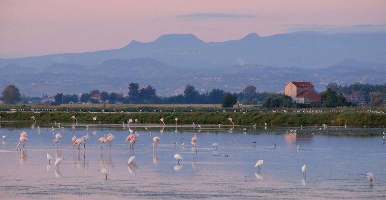 Ravenna e la sua Riviera