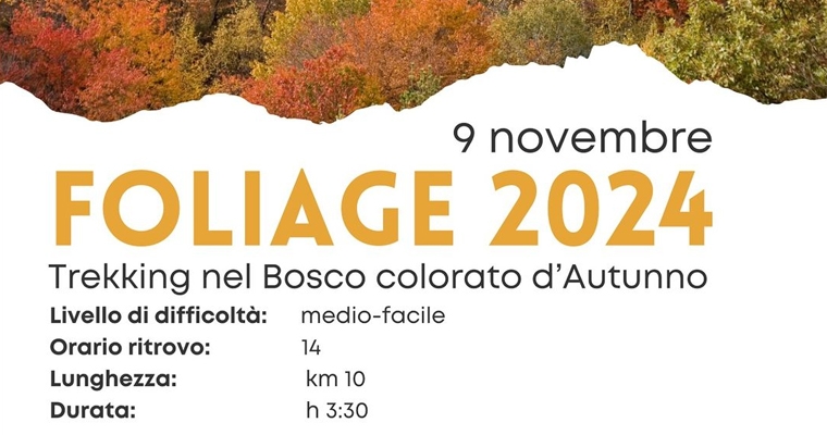 Trekking Fall Foliage 2024
