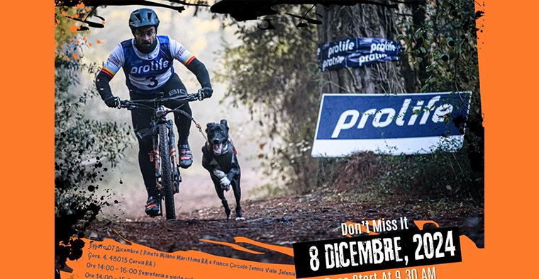 Romagna dog race