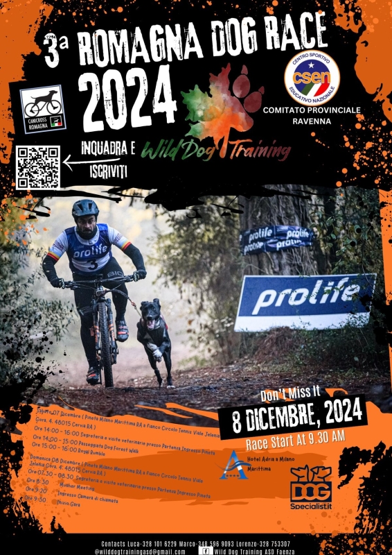 Romagna dog race