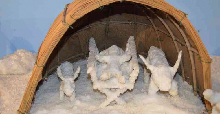 Presepe di Sale