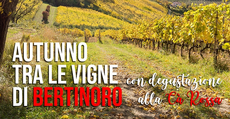 AUTUNNO TRA LE VIGNE