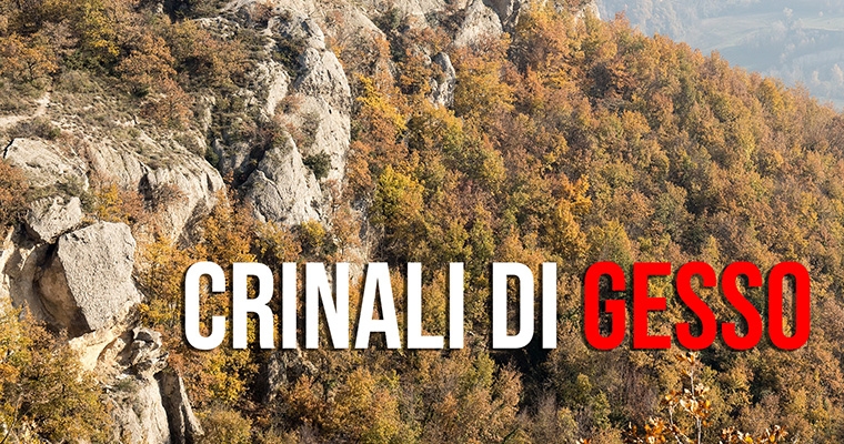 CRINALI DI GESSO
