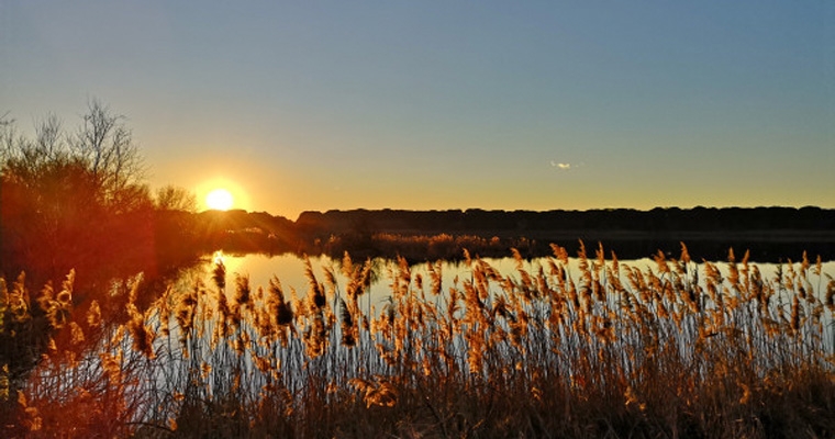 Tramonto nelle Valli tra fenicotteri e specchi d’acqua