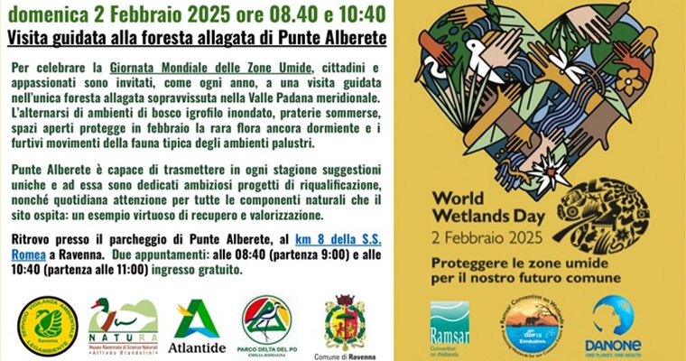 La Foresta allagata di Punte Alberete