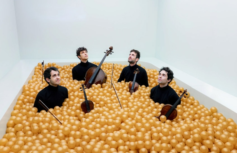 vision string quartet