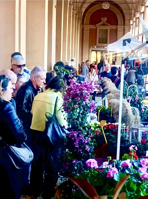 GIARDINI E TERRAZZI