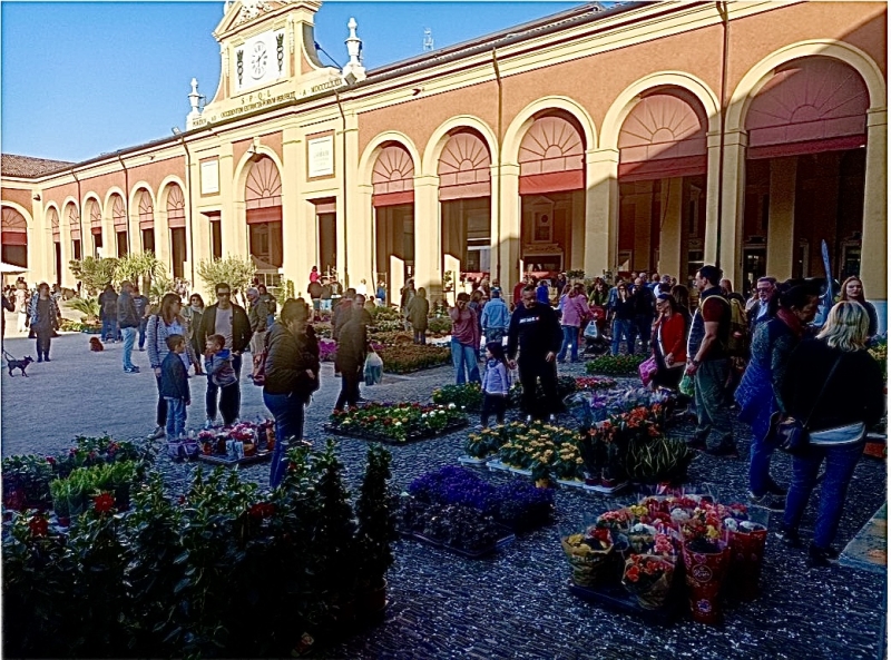 GIARDINI E TERRAZZI