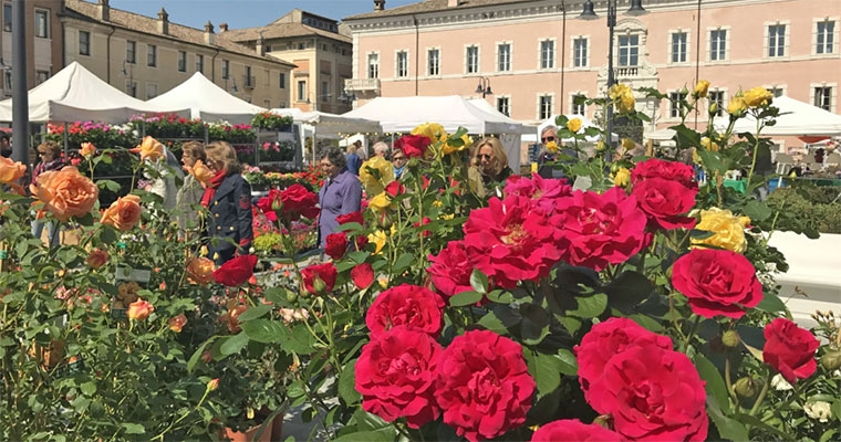 Ravenna in Fiore