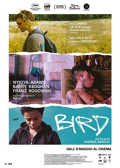 BIRD