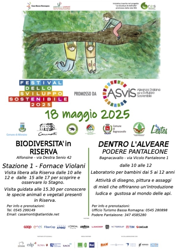 Festival dello sviluppo sostenibile