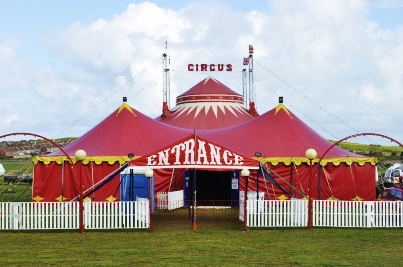 Spettacolo d'intrattenimento Circo Medini