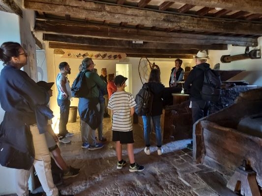 Paesaggi Sociale - il paesaggio che cura