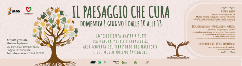 Paesaggi Sociale - il paesaggio che cura