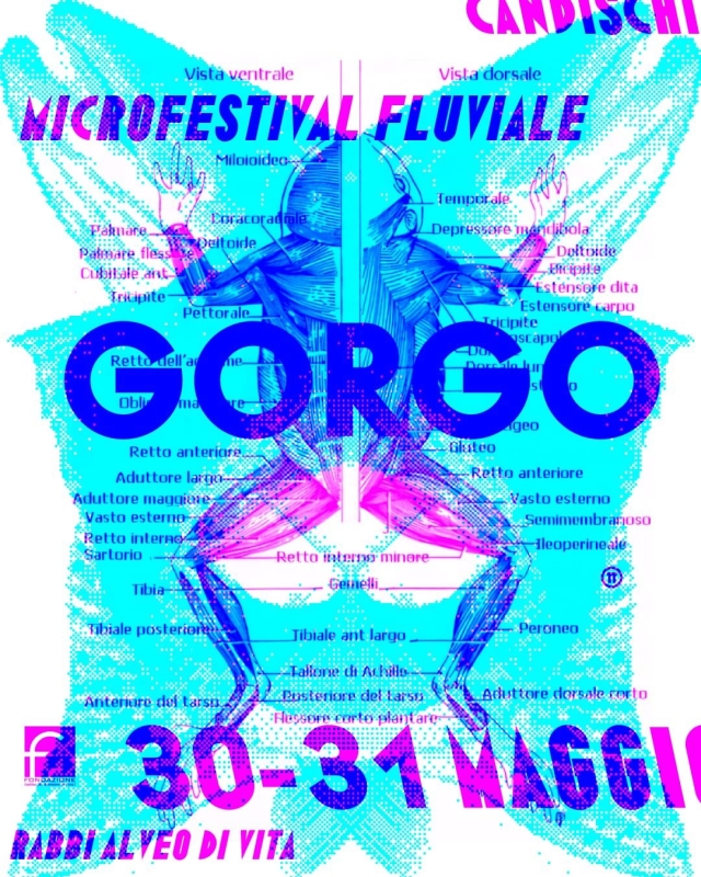 Gorgo
