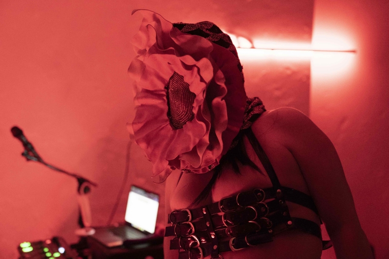 Josefina Cerda | FERAL