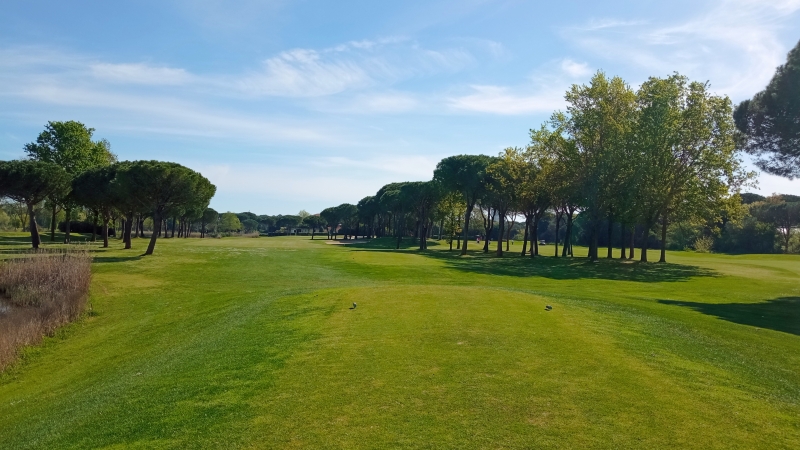 BMW GOLF CUP