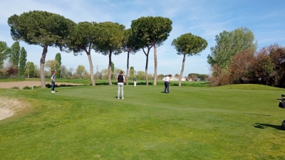 PALADINI LINGERIE GOLF CUP