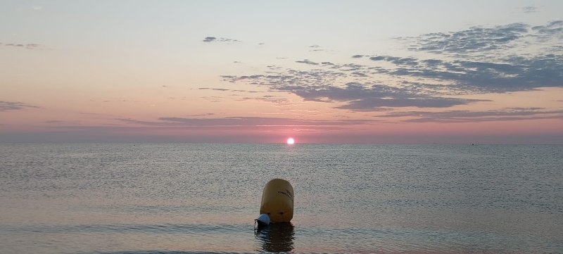 Alba Nuotevole Race