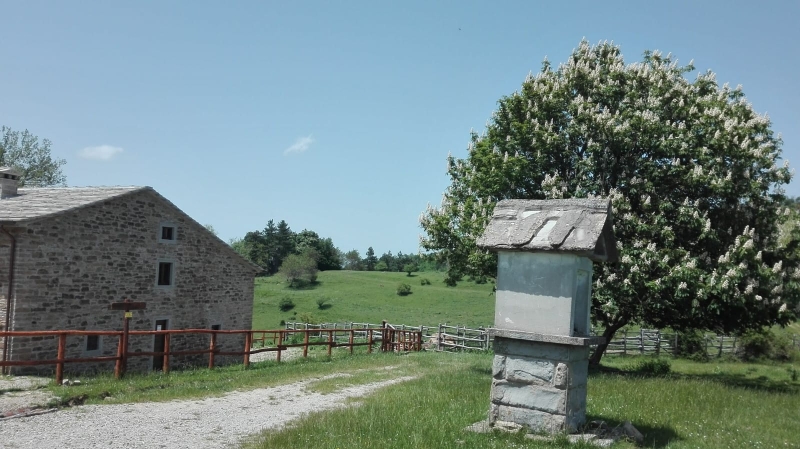 ESCURSIONE A SAN PAOLO IN ALPE