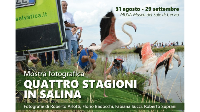 Quattro stagioni in Salina