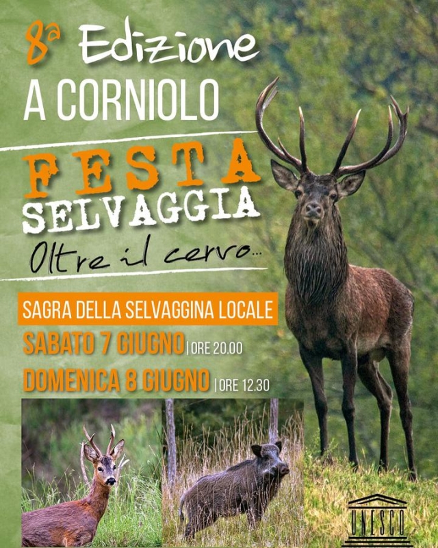 Festa Selvaggia oltre il Cervo