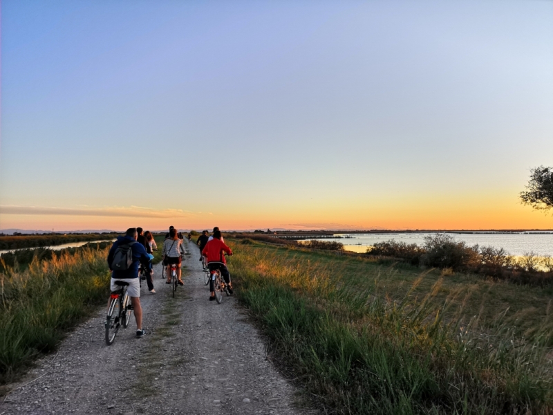 La pedalata dei fenicotteri al tramonto