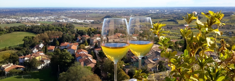 Masterclass dei vini e prodotti del territorio