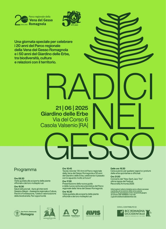Radici nel Gesso