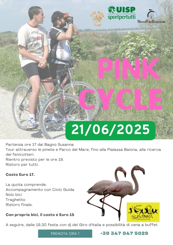 Pink Bike