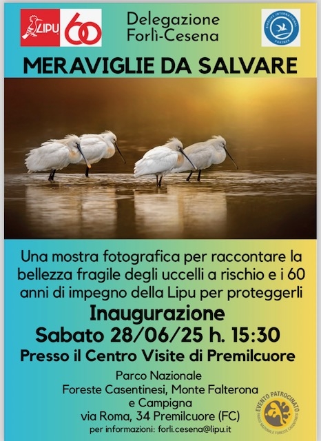 Meraviglie da salvare