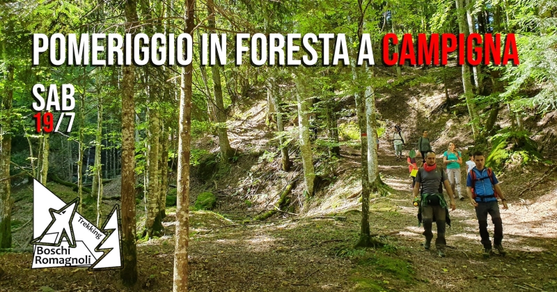 POMERIGGIO IN FORESTA A CAMPIGNA