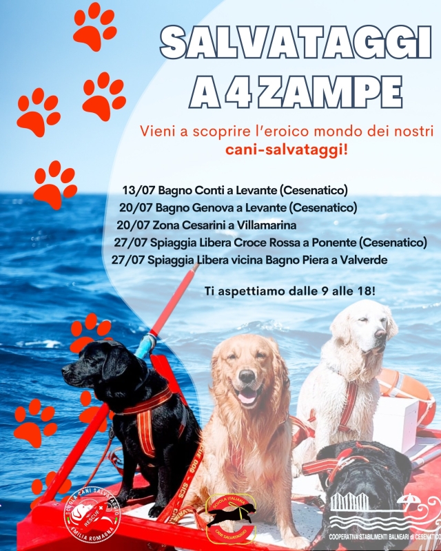 SALVATAGGI A QUATTRO ZAMPE