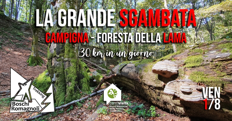 LA GRANDE SGAMBATA: CAMPIGNA