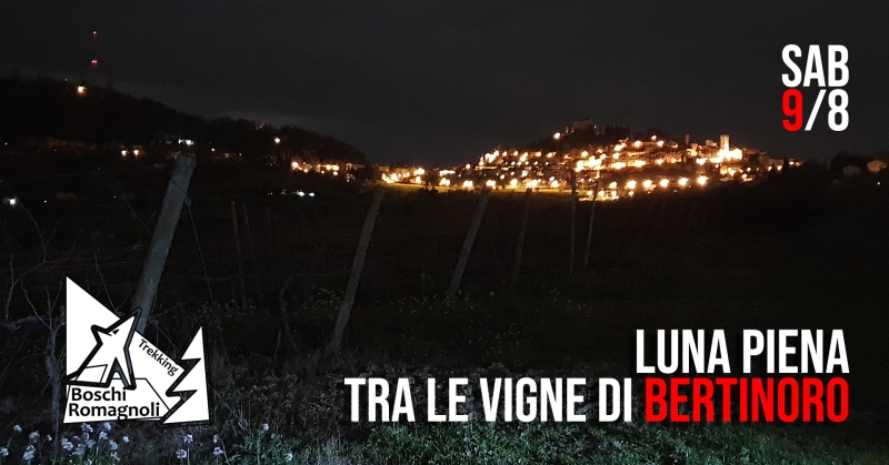 LUNA PIENA TRA LE VIGNE DI BERTINORO