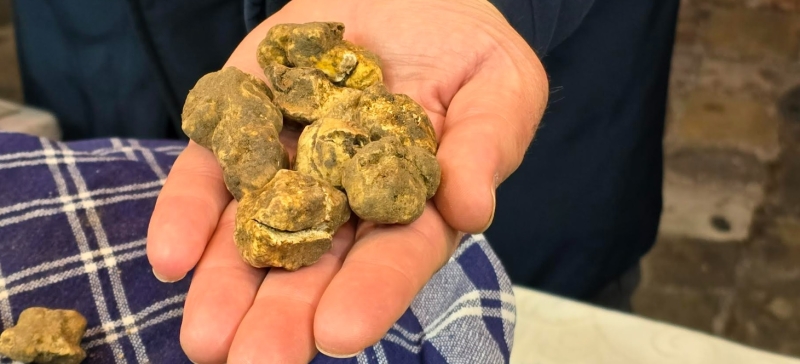 Fossa Tartufo e Venere