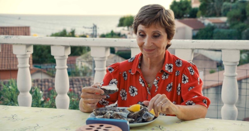 LA GAZZA LADRA