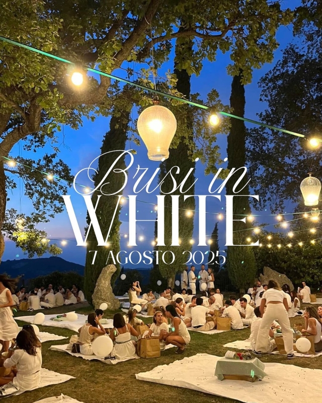 Brisi in white 2025