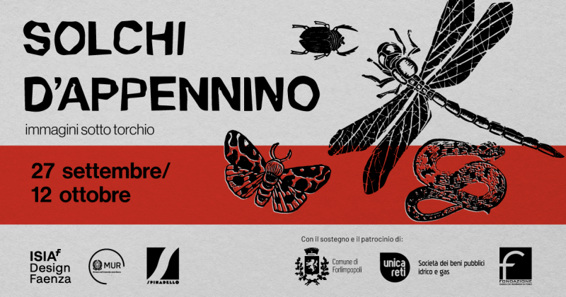 Solchi d’Appennino: immagini sotto torchio