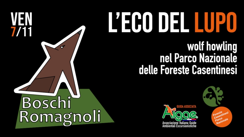 L’ECO DEL LUPO – PREMILCUORE